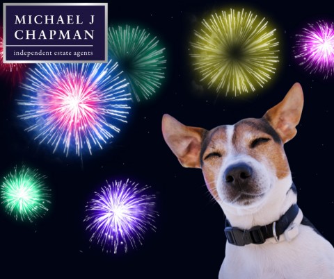 Bonfire Night and Pets: How to Keep Your Home Calm and Your Animals Safe During Fireworks